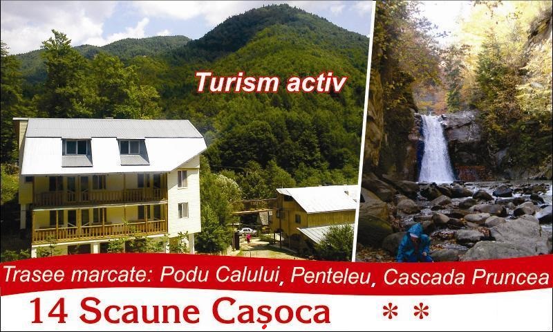 14 Scaune Caşoca boarding house