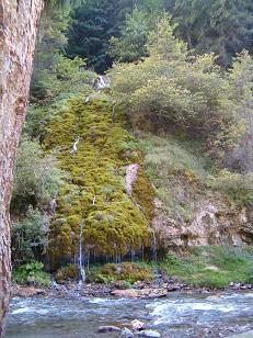 Peisaj La Chisatoare rezervatie bio - geologica-Moeciu de Sus